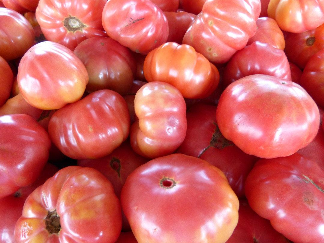 Piedmont Triad Farmers Market景点图片