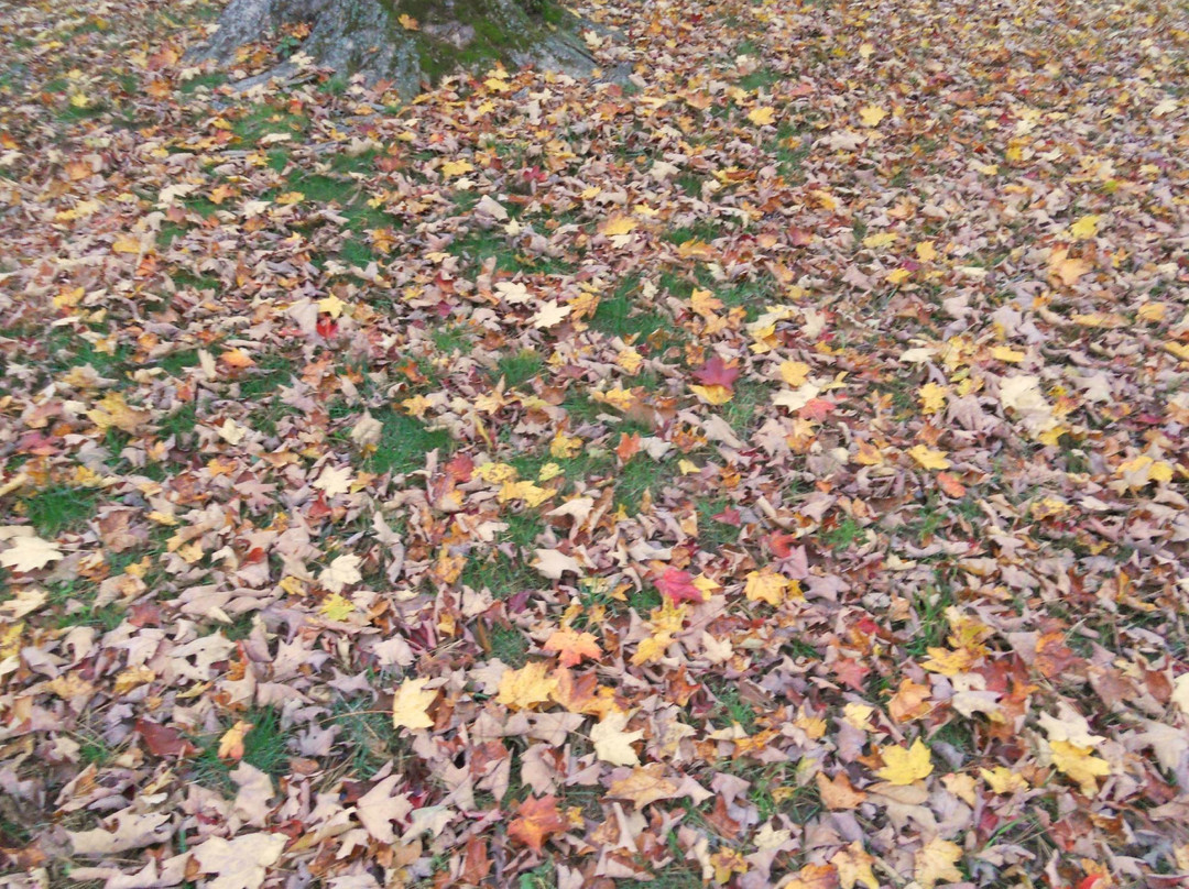 Brattleboro Common-布拉特尔伯勒必去景点