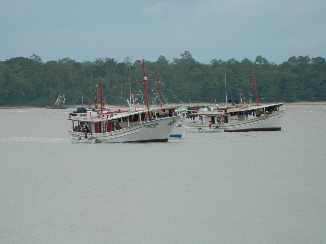 Vieux Port-卡宴必去景点