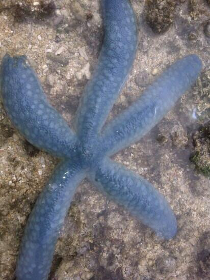 Pulau Dua-Tambrauw必去景点