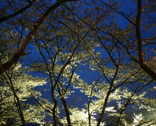 Kamiyone Park-三股町必去景点