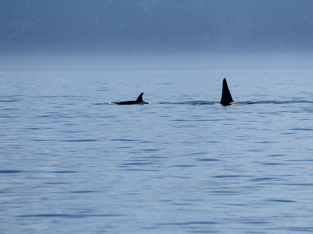 Rainbow Tours-荷马必去景点