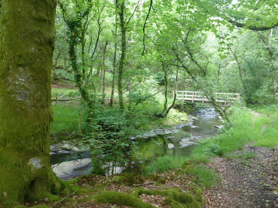 Cwm Clydach Walk景点图片