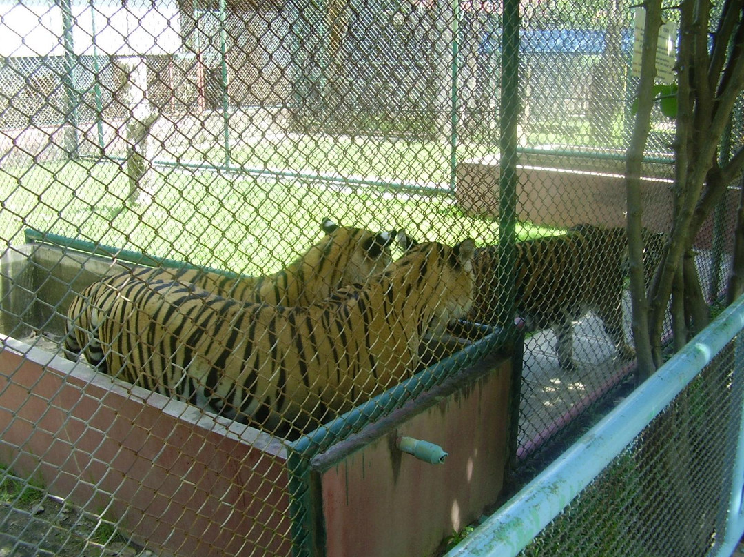 Trakarn zoo ubon-打干普奔必去景点