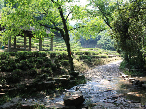 杭州西子湖四季酒店主图