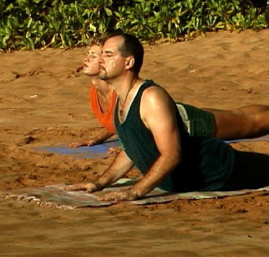 Sanibel Wellness - Fort Myers Acupuncture & Massage-迈尔斯堡必去景点