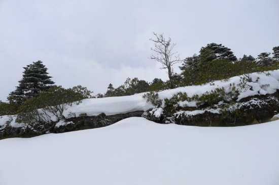 白马雪山国家级自然保护区景点图片