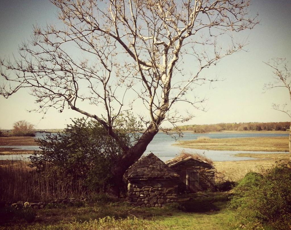 Coggeshall Farm Museum-布里斯托尔必去景点
