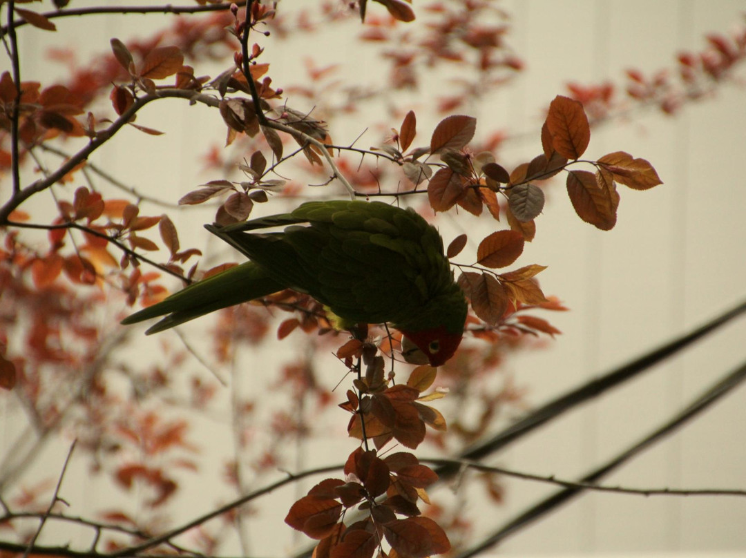 费尔波特步道-旧金山必去景点