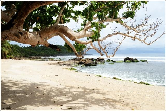 Wediombo Beach-Wonosari必去景点