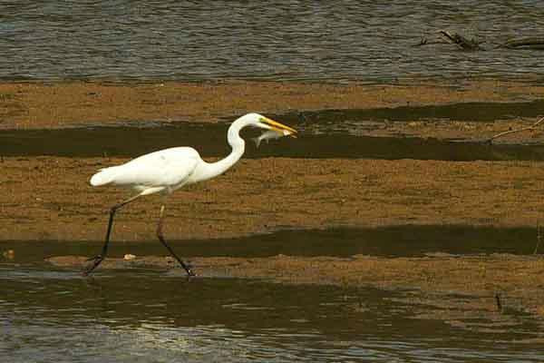 Nature Miraikan主图