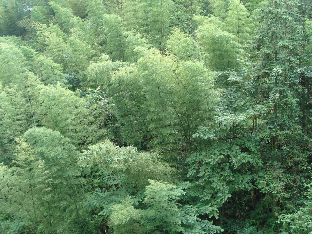 昔阳大寨村生态农业园-昔阳县必去景点