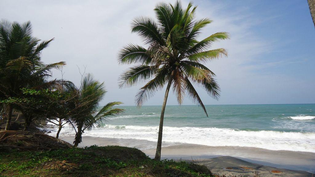 Jeribucacu Beach-Itacare必去景点