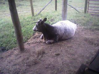 Exchange Place-金斯波特必去景点