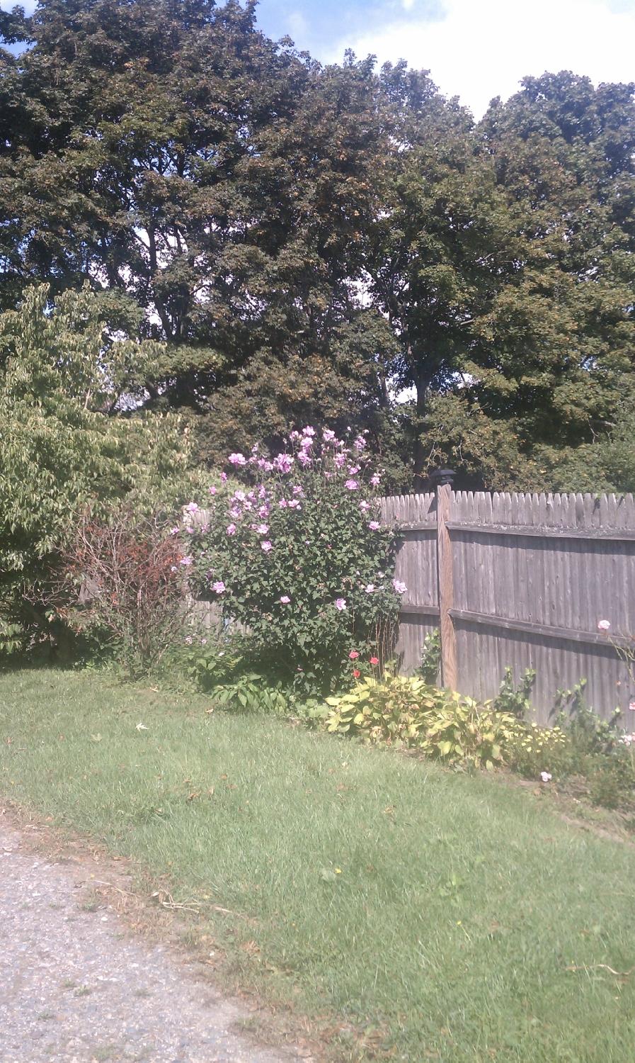 KAEDE Bed and Breakfast-浴室