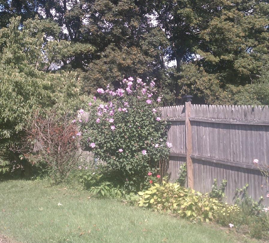 KAEDE Bed and Breakfast主图