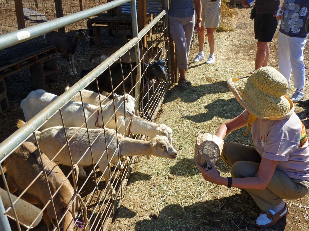 Maui Country Farm Tours-马卡瓦必去景点