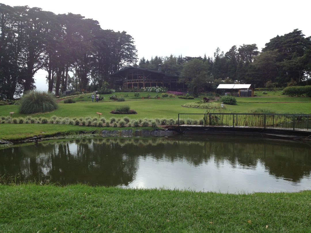 Colinas del Poas景点图片