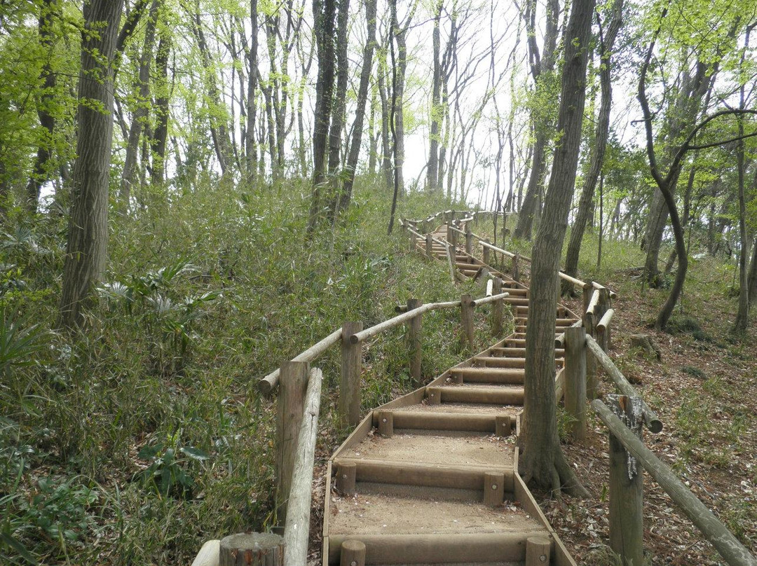 Myoonsawa Special Green Conservation Area-新座市必去景点