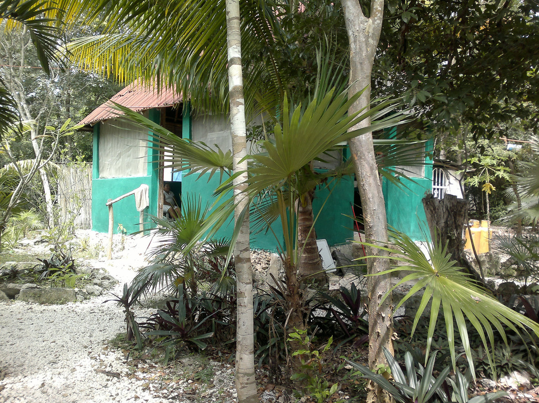 Ixchel Jungle Spa-从莫雷洛斯港必去景点