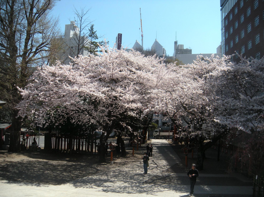 新宿中央公园景点图片