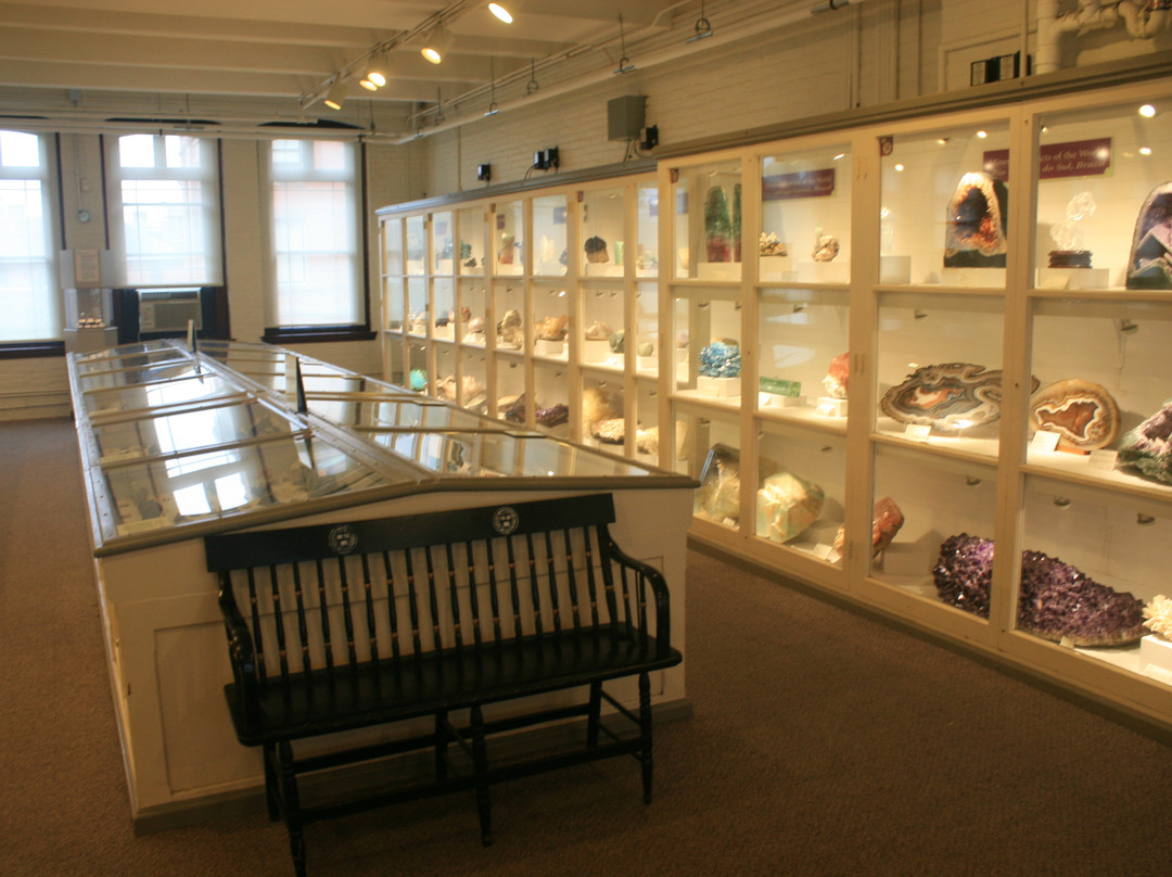 Harvard Museum of Natural History景点图片