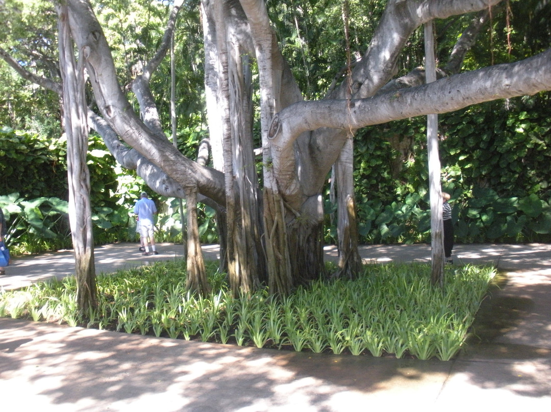 香格里拉酒店-火奴鲁鲁必去景点