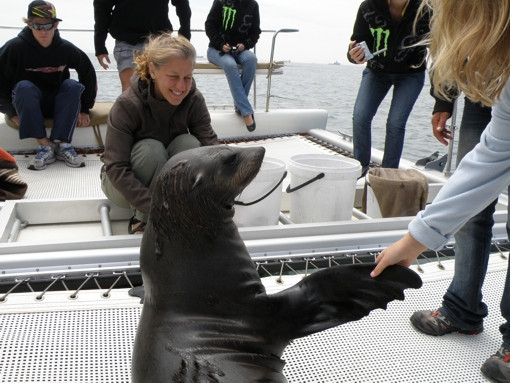 Mola Mola Safaris-华维斯湾必去景点