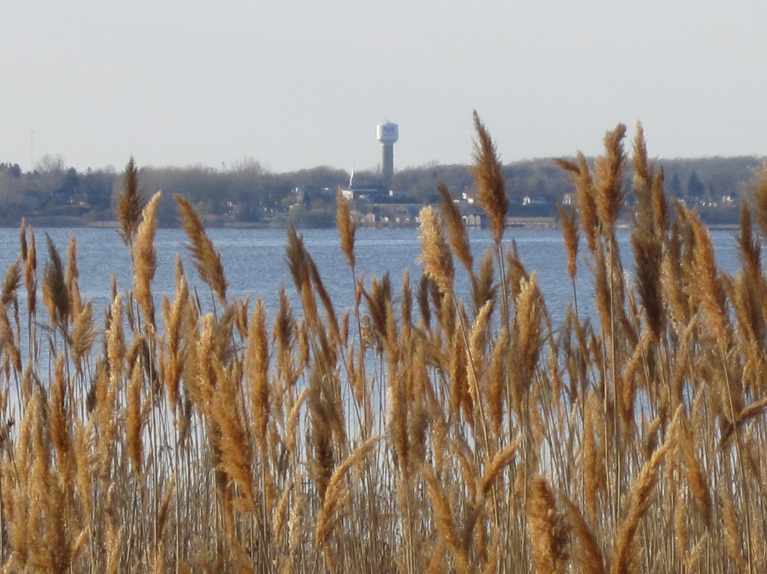 Long Point Provincial Park景点图片