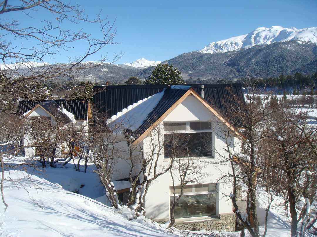 Cabanas Altos de Moquehue