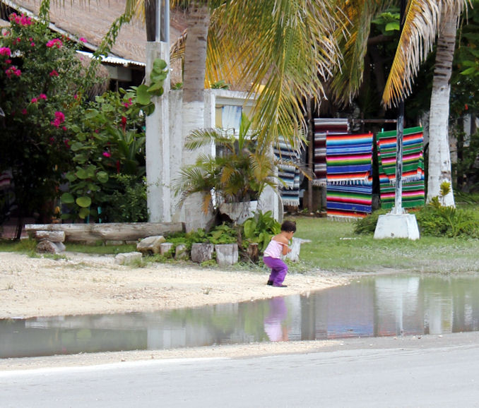 Artists' Cooperative of Puerto Morelos-从莫雷洛斯港必去景点