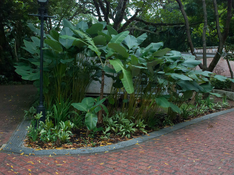 福康寧公園-新加坡必去景点