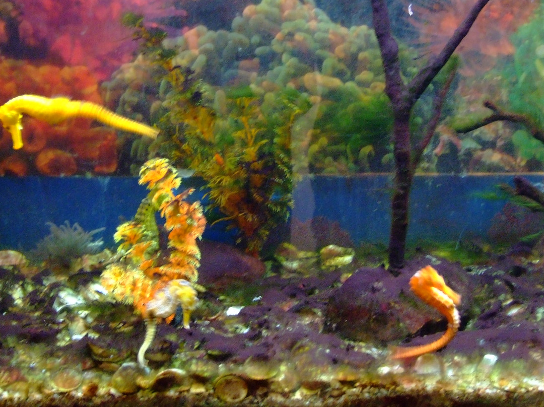 海洋博物馆-La Barra必去景点