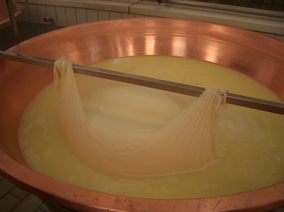 Sol Levante Tour-博洛尼亚必去景点