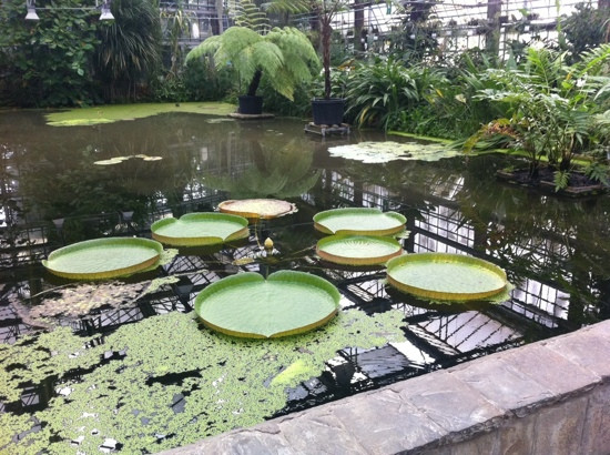 Ghent University Botanical Garden景点图片