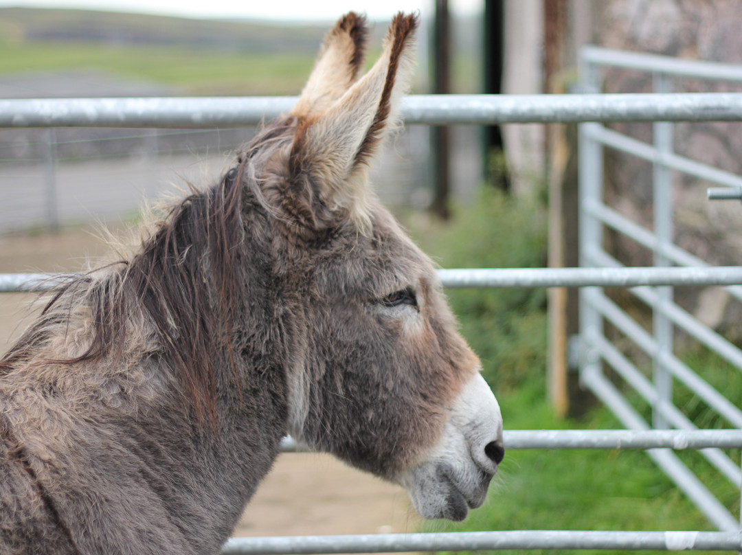 Freshfields Donkey Village-Peak Forest必去景点
