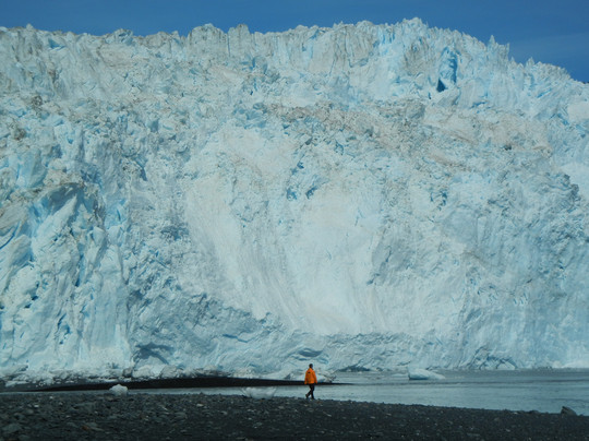Alaska Fjord Charters-苏厄德必去景点