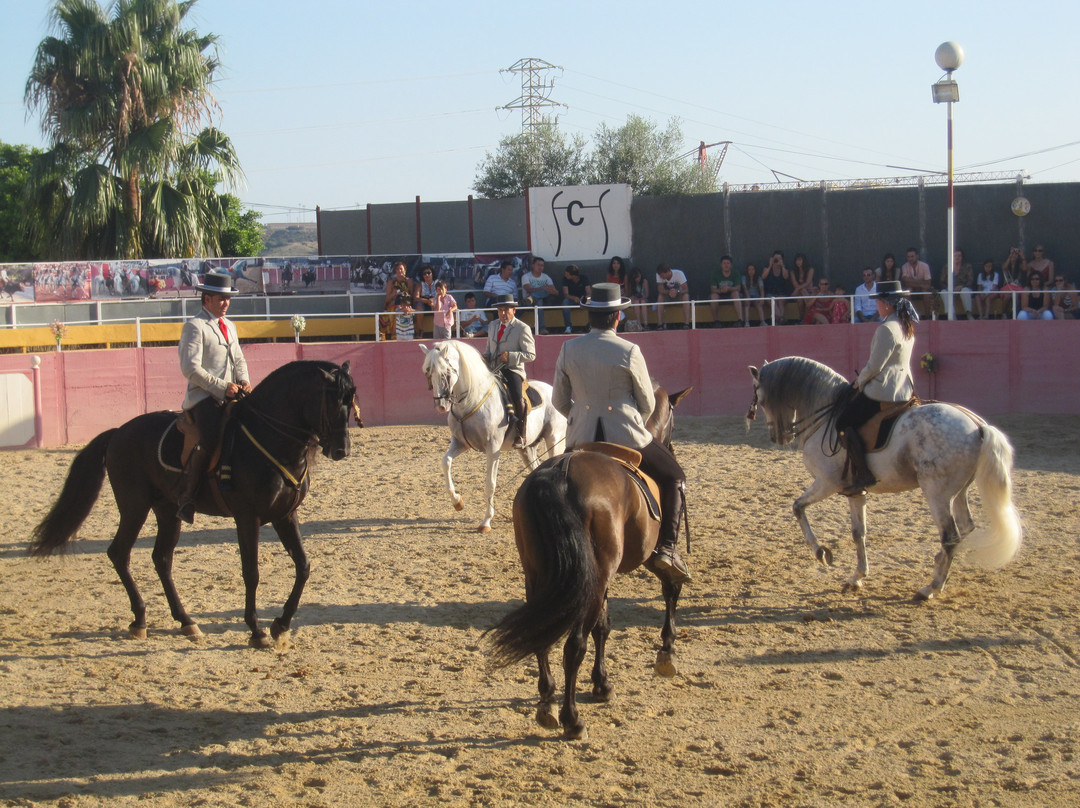 El Cartujano-米哈斯必去景点