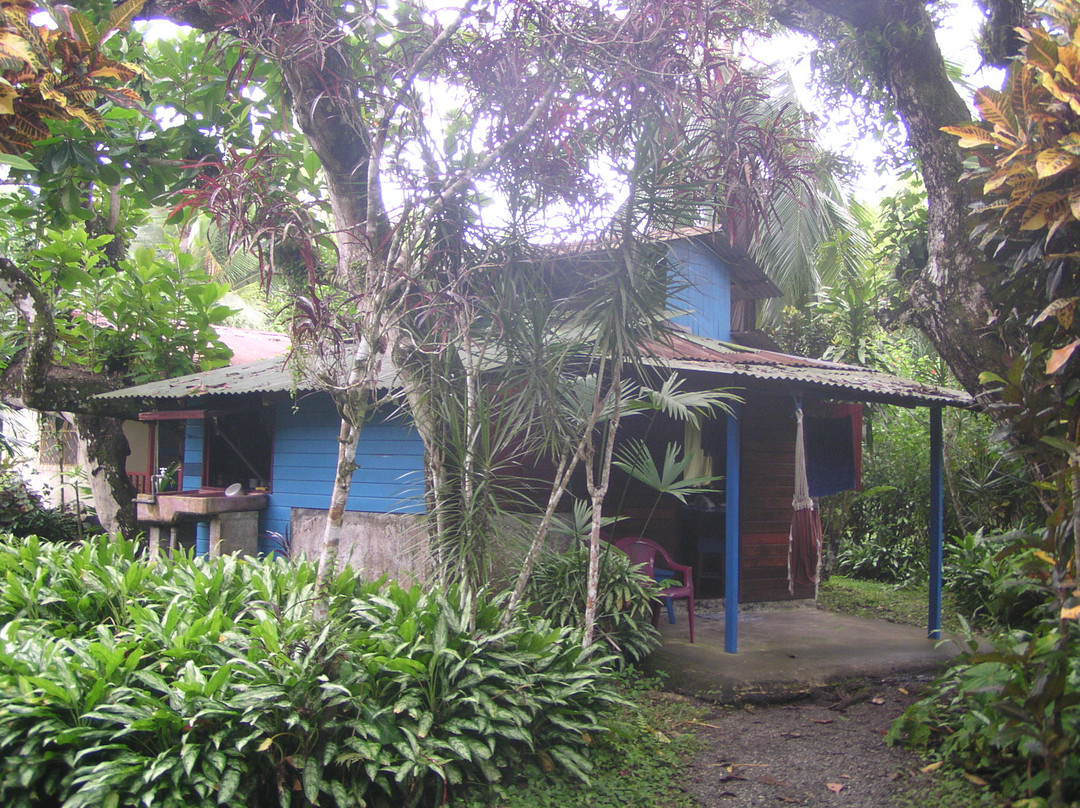 Algebra Cabinas(代数小屋)