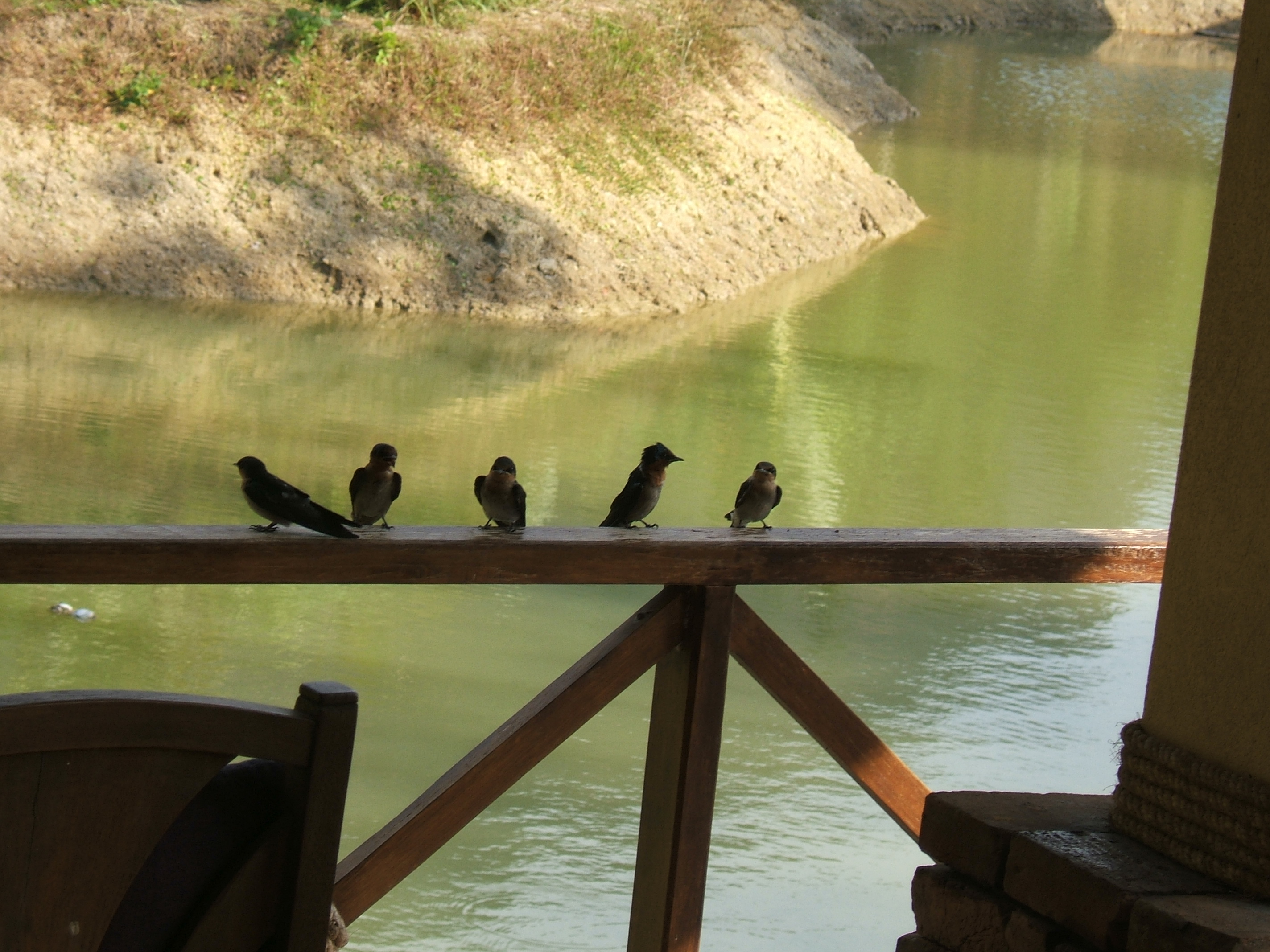 Baan Suan Thip Homestay-酒店景观