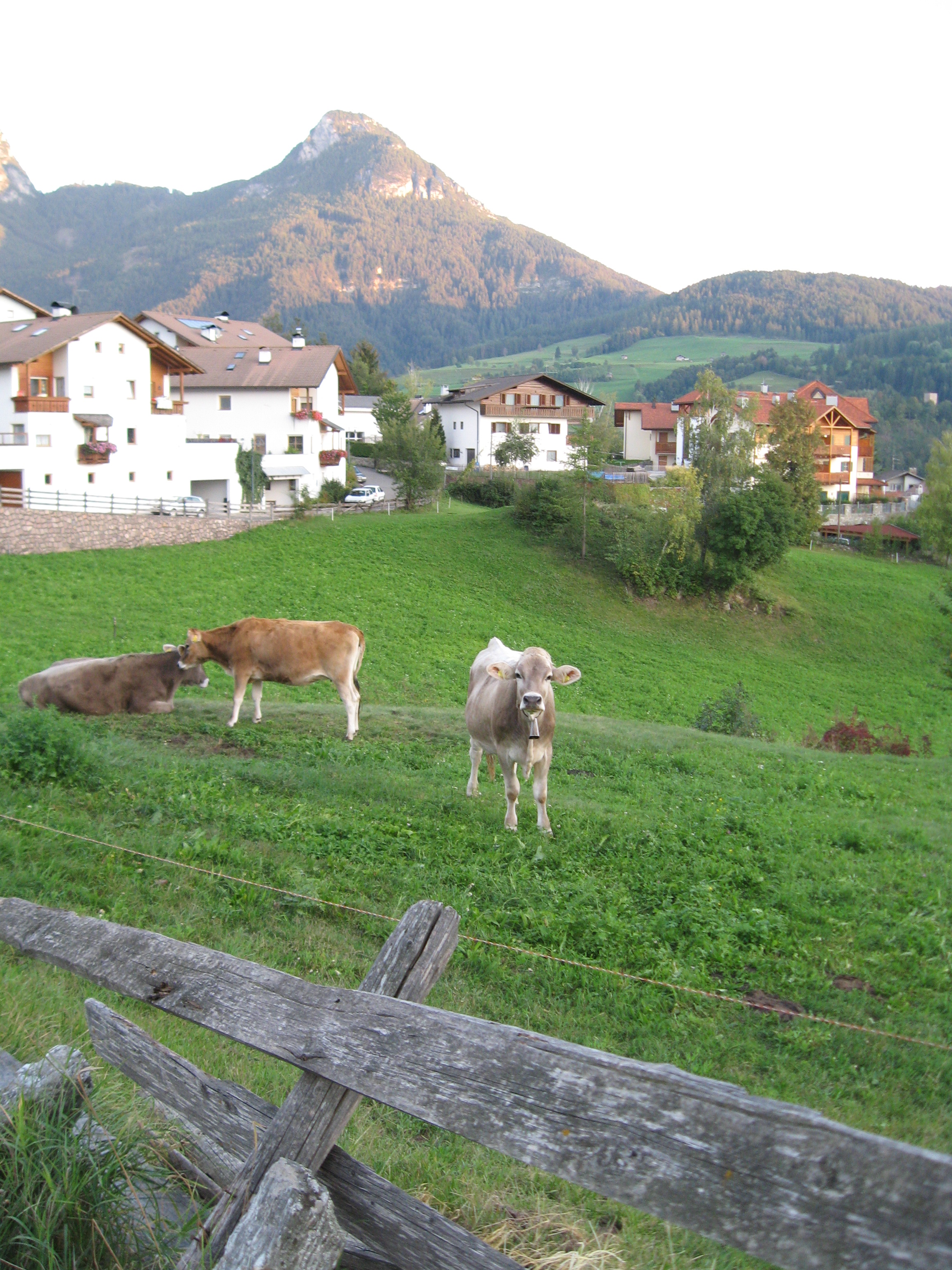 Garni Mitterstieler-客卧