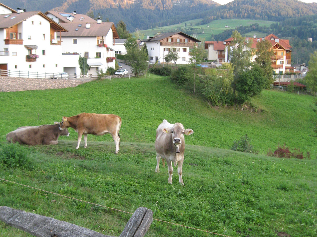 Aica di Sopra酒店住宿-Garni Mitterstieler