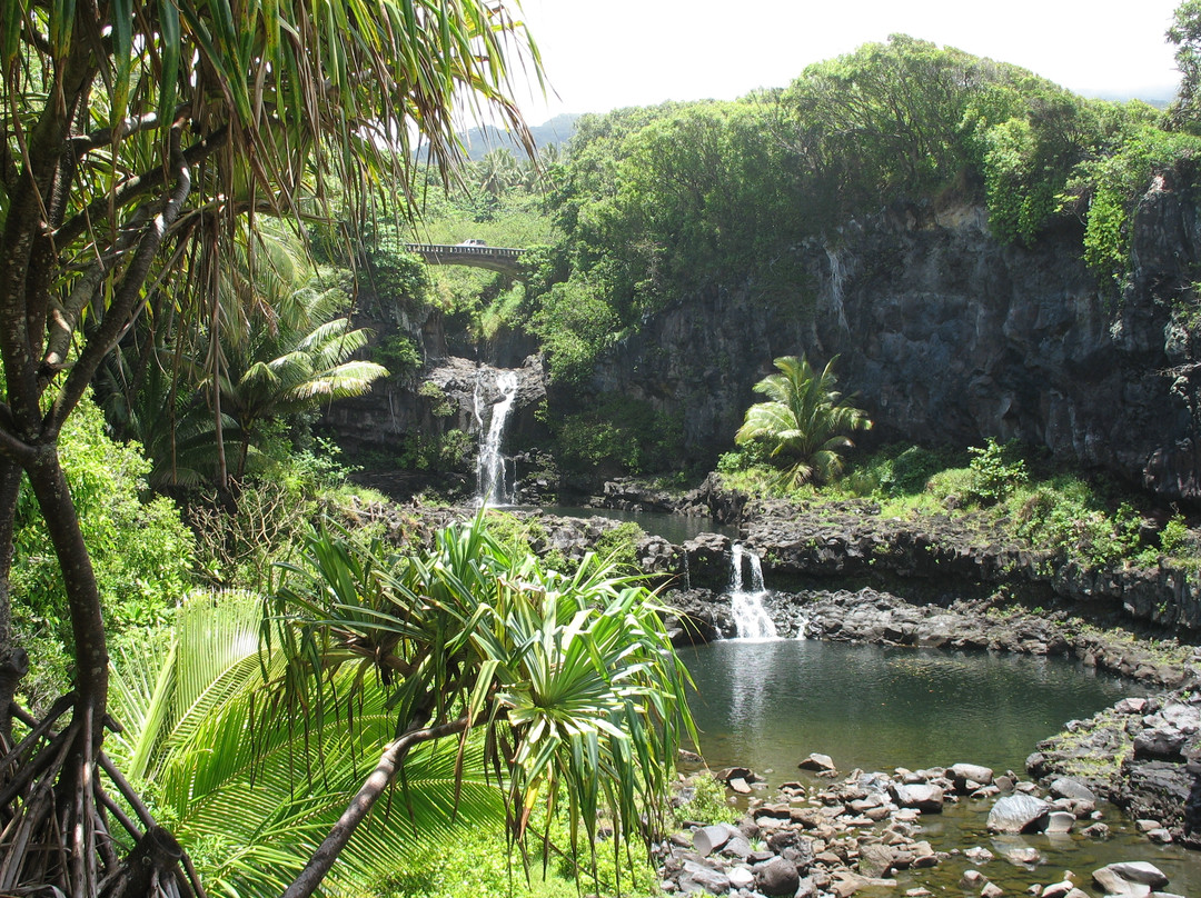 州立公园-哈莱亚卡拉国家公园必去景点