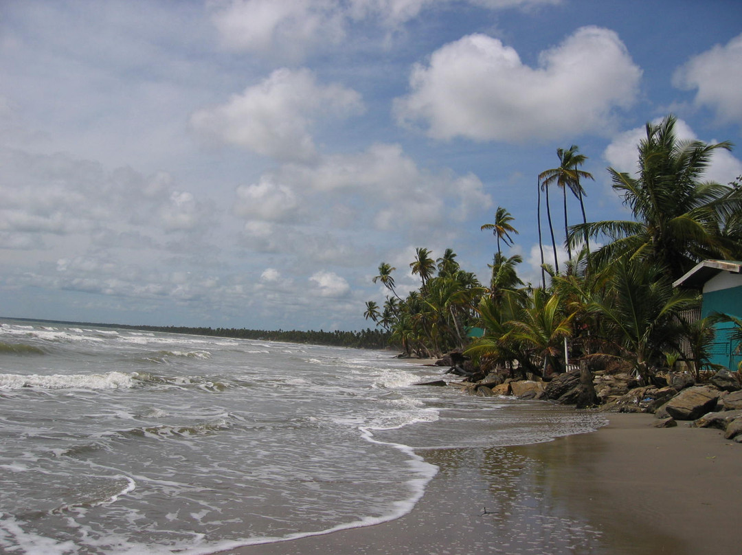 Manzanilla Beach景点图片