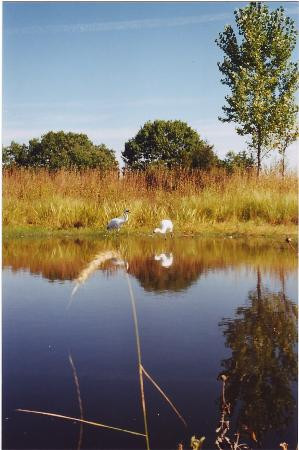 International Crane Foundation-巴拉布必去景点