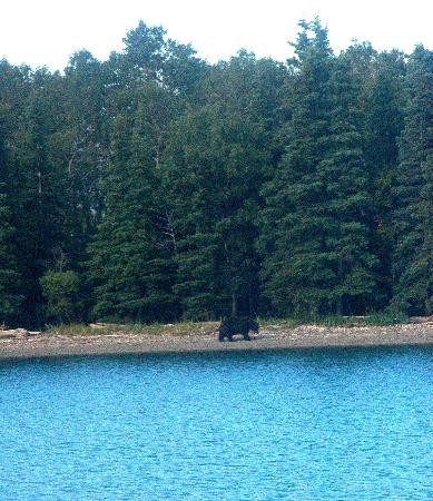 Brooks Falls-卡特迈国家公园及自然保护区必去景点