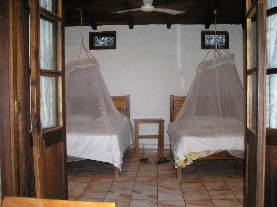 La Buena Vista主图