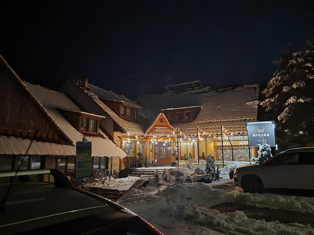 Koliba Sova