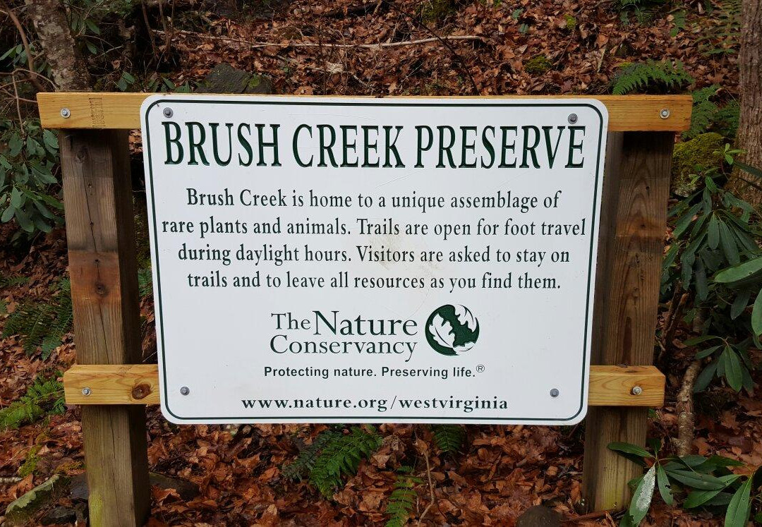 Brush Creek Falls-Athens必去景点