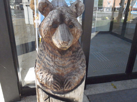 Onuma International Communication Plaza-龟田郡必去景点